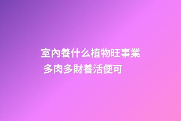 室內養什么植物旺事業 多肉多財養活便可
